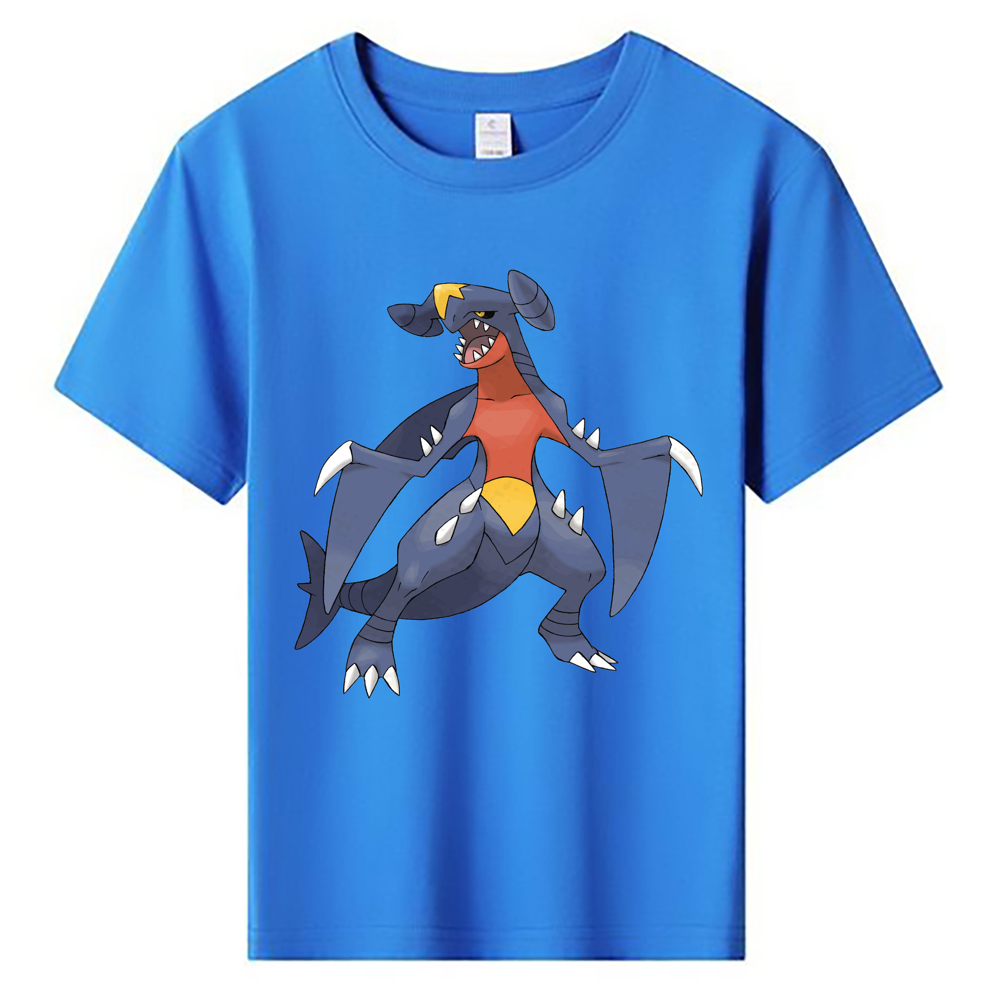 （画像用） ポケットモンスター Pokémon 綿100％キッズTシャツ（フロントプリント）